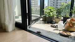 夜、家の近くでコオロギが鳴くのはなぜ?家まわりに隠れた「理由」を読み解く