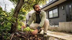 真昼に庭でセミがうるさいのはなぜ？鳴く理由から見えてくる「わが家の夏」